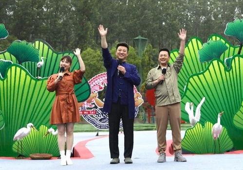 无机杀手最新爆料视频,最新爆料视频深度解析